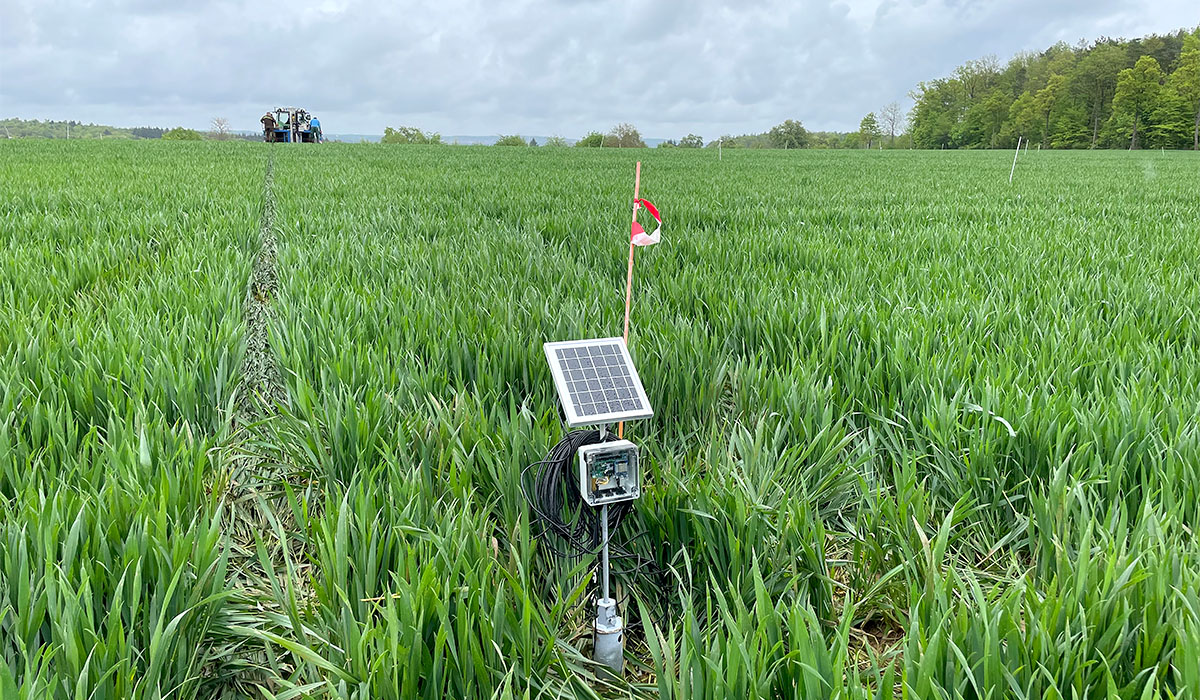 SMT100 Bodensensor auf dem Versuchsfeld