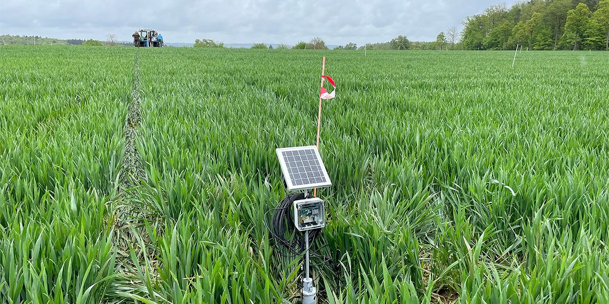 SMT100 Bodensensor auf dem Versuchsfeld